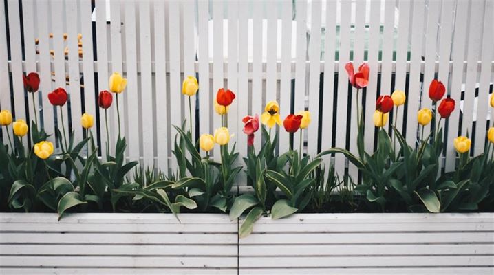 Flot komposithegn i mange nuancer