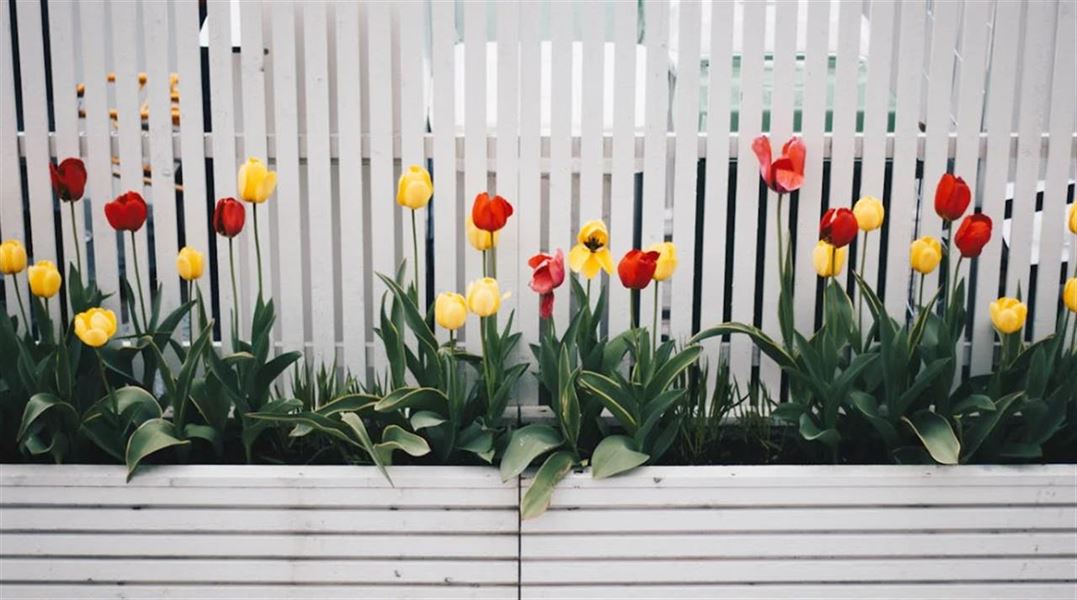 Flot komposithegn i mange nuancer