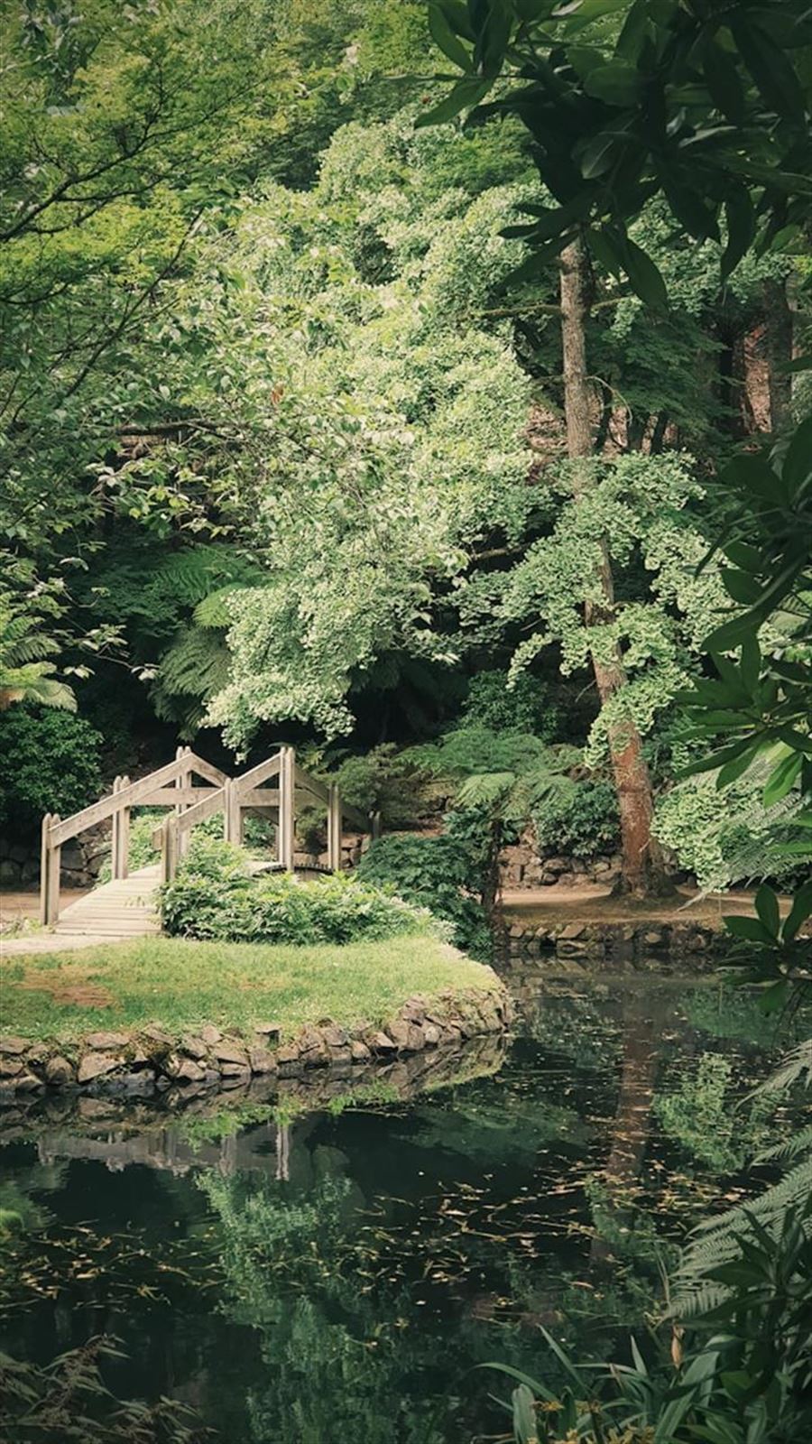 Hemmeligheden bag et grønnere hjem med sedumtag