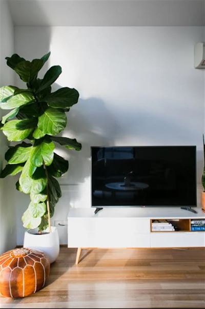 Integrer dit TV sømløst i din indretning med TVophaeng.dk