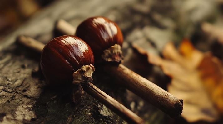 Kastanjemanden: En Mordgåde Fra Den Danske Undergrund