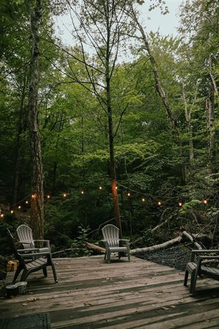 Dette skal du vide, inden du renoverer have