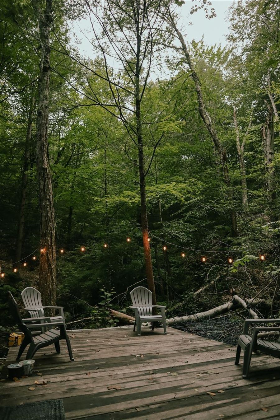 Dette skal du vide, inden du renoverer have