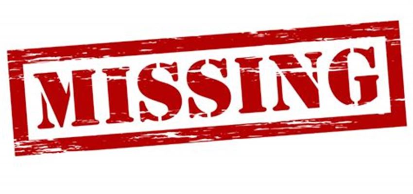 Sådan bekæmper du mus effektivt