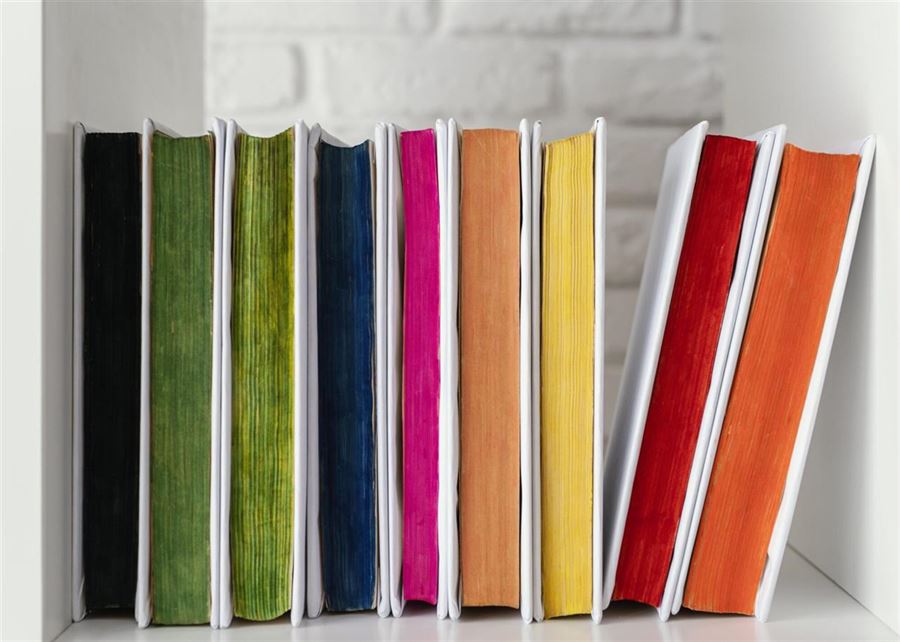 Anne-Grethe Bjarup Riis – En dansk forfatter og skuespillerinde